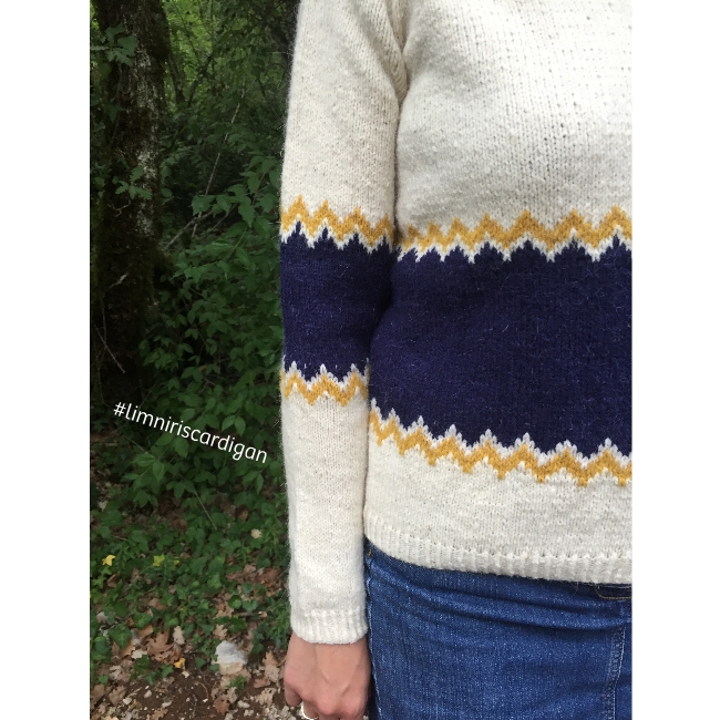 kit • Limniris • cardigan dessiné par Coraline @ma_lo_ra_e – Image 3