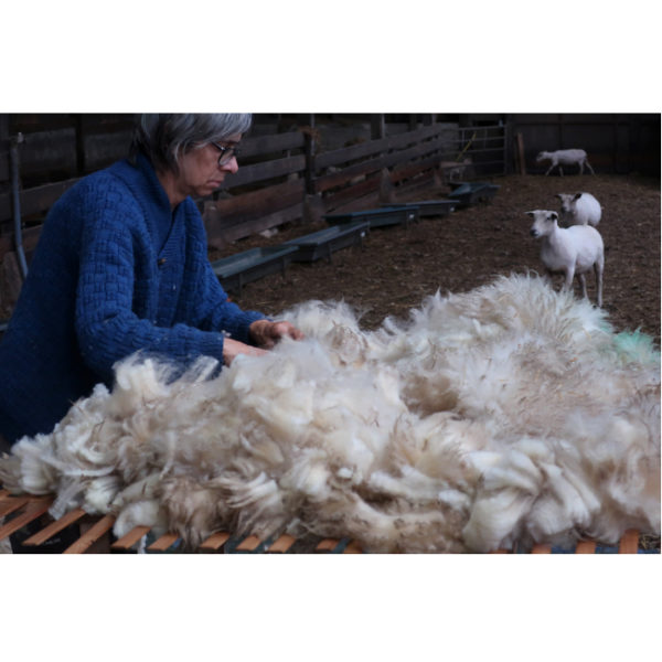 • Monts d'Arrée • FINGERING – Image 14