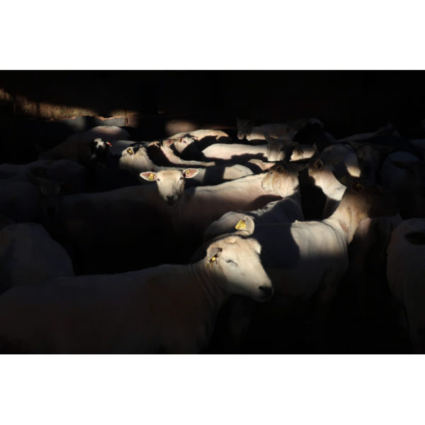 • Monts d'Arrée • FINGERING – Image 18