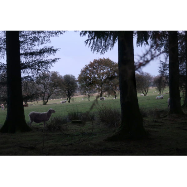 • Monts d'Arrée • FINGERING – Image 6
