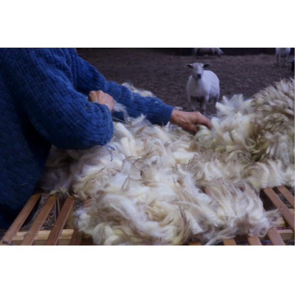 • Monts d'Arrée • FINGERING – Image 16