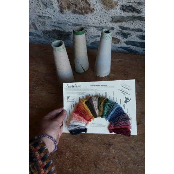 • Mérinos-angora • nuancier – Image 2