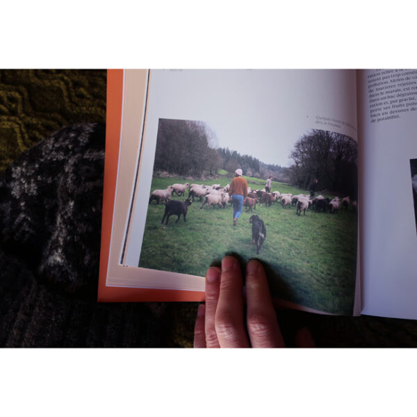• French Tricot • livre d'Alice Hammer – Image 8