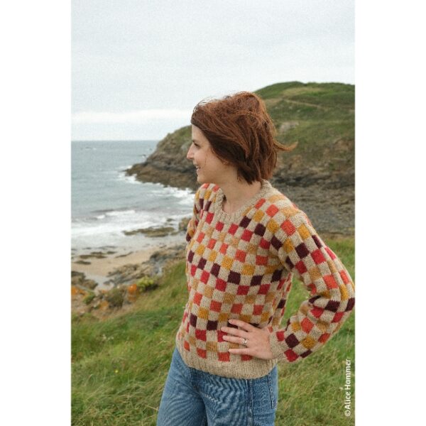 kit • Lustucru • pull dessiné par Alice @tricotalicehammer – Image 3