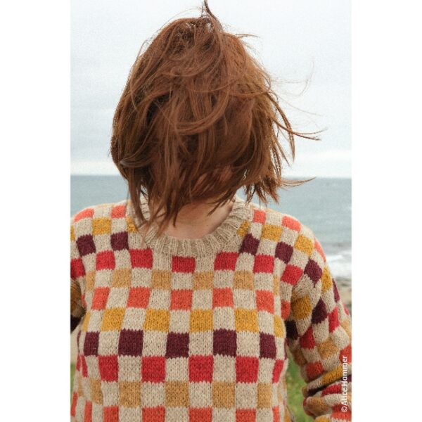 kit • Lustucru • pull dessiné par Alice @tricotalicehammer – Image 5