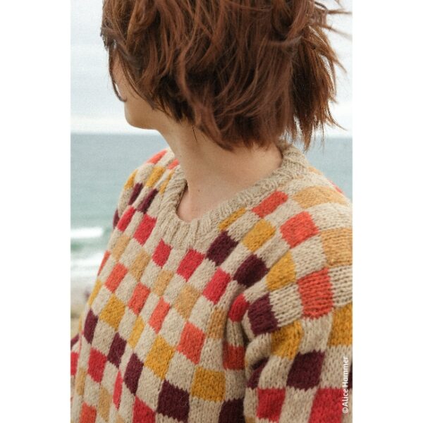 kit • Lustucru • pull dessiné par Alice @tricotalicehammer – Image 6