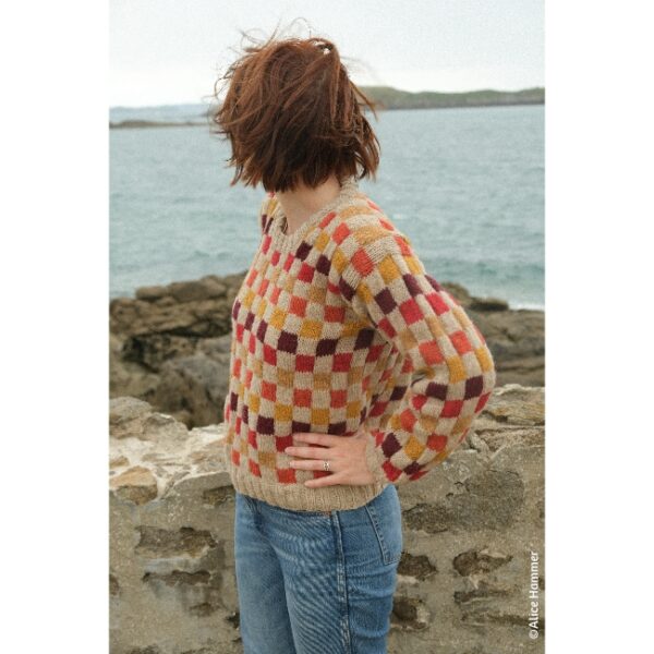 kit • Lustucru • pull dessiné par Alice @tricotalicehammer – Image 8