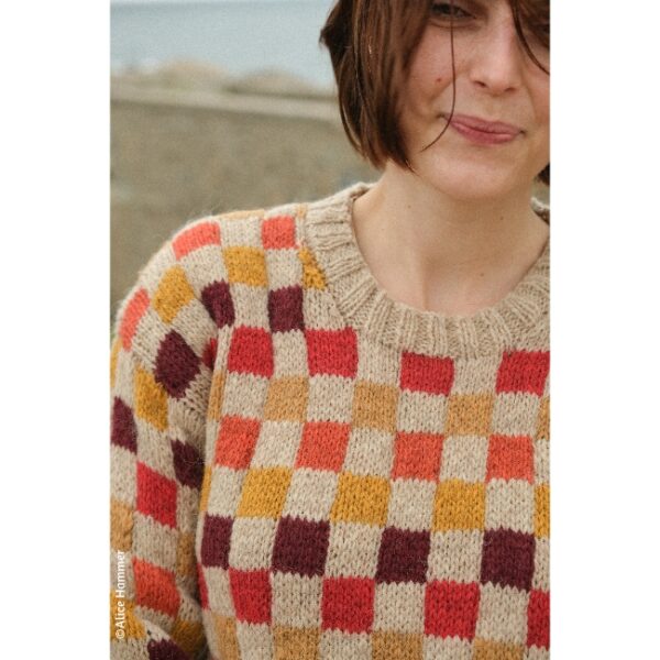 kit • Lustucru • pull dessiné par Alice @tricotalicehammer – Image 9