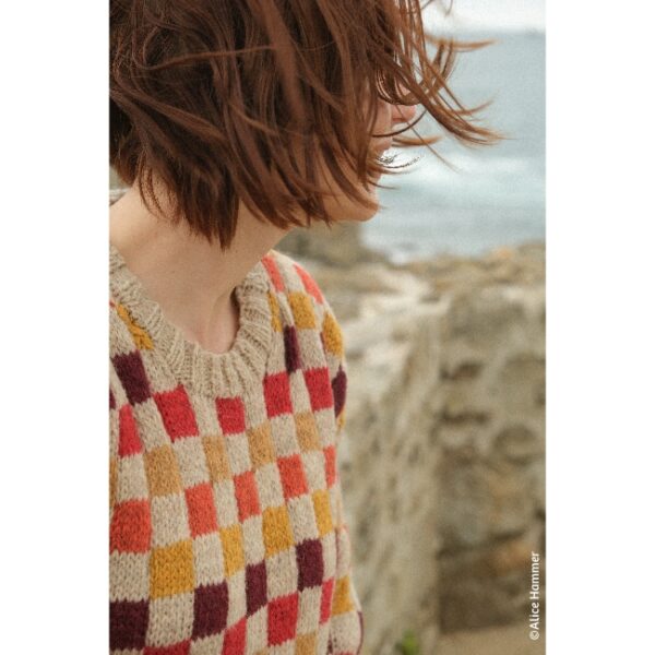 kit • Lustucru • pull dessiné par Alice @tricotalicehammer – Image 2
