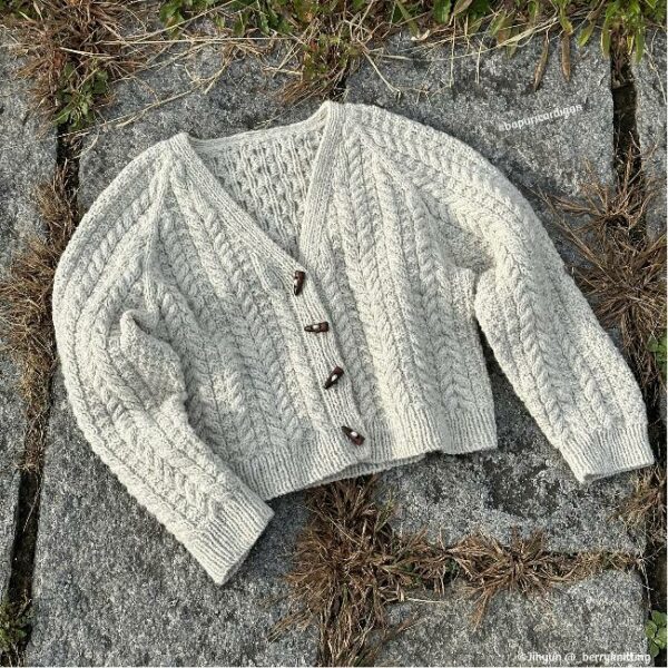 assortiment de fil • Bapuri • cardigan dessiné par Jihyun @_berryknitting – Image 4