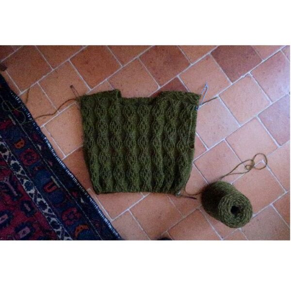 assortiment de fil • Hortus • pull dessiné par Alice Hammer @tricotalicehammer – Image 5