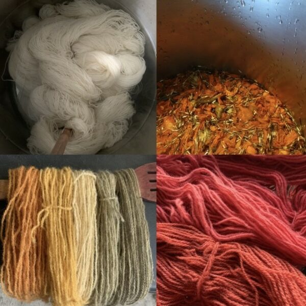 Atelier teinture naturelle sur écheveau